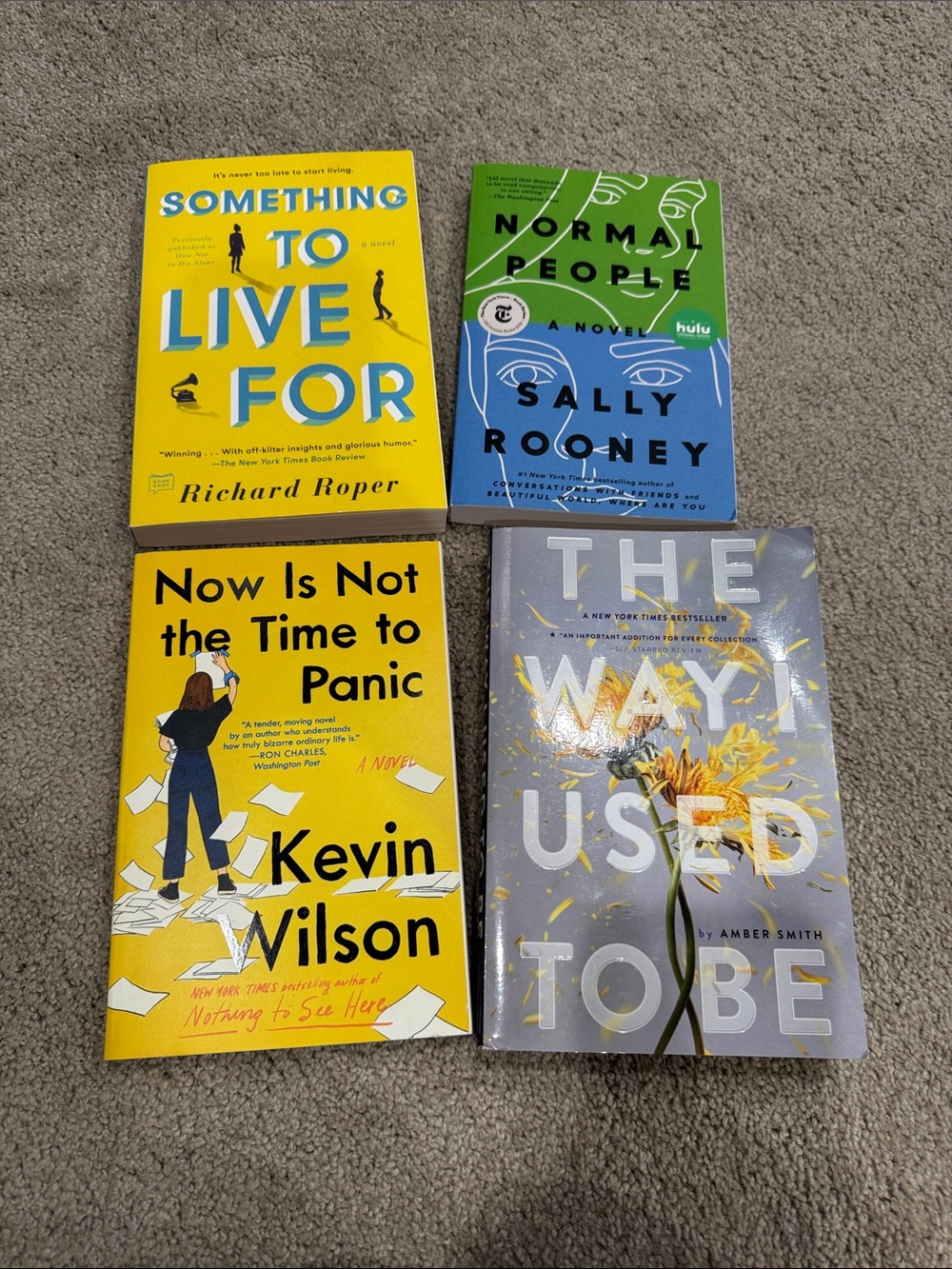 Lot of Paperback Books / Novels
